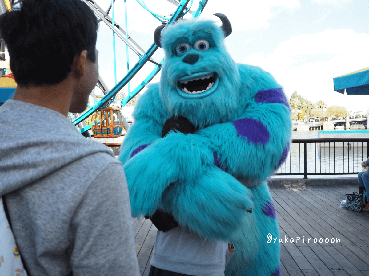 19 01 キャラクターグリーティング Disney California Adventure ゆかぴろwdwに行く